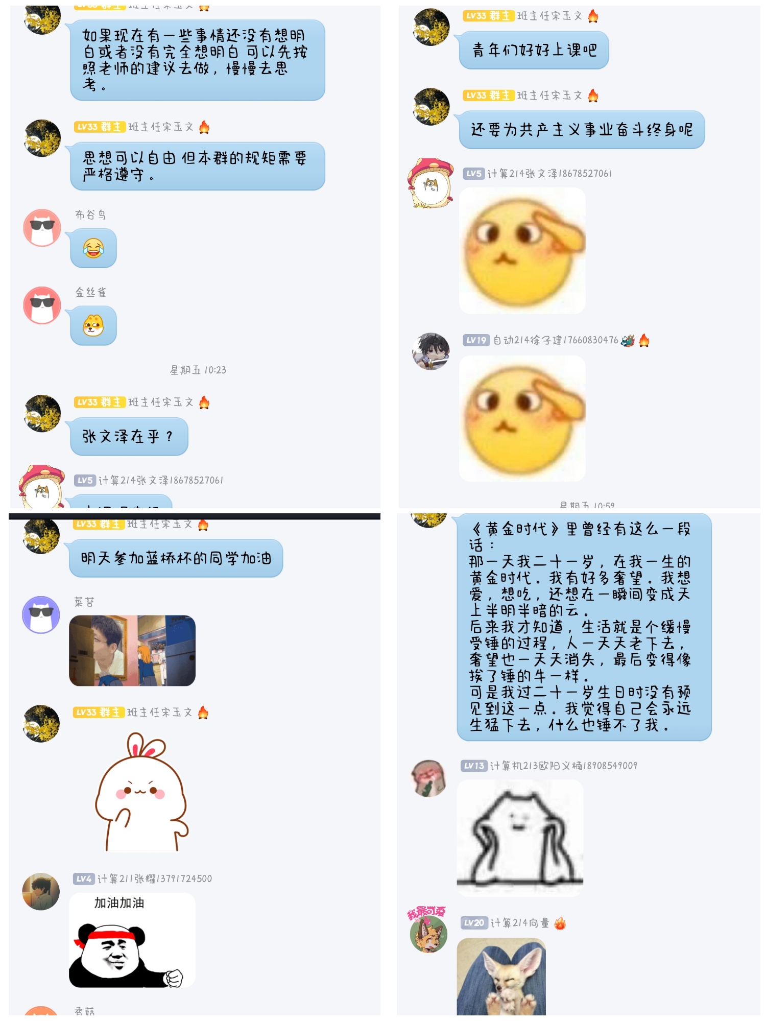 D6893